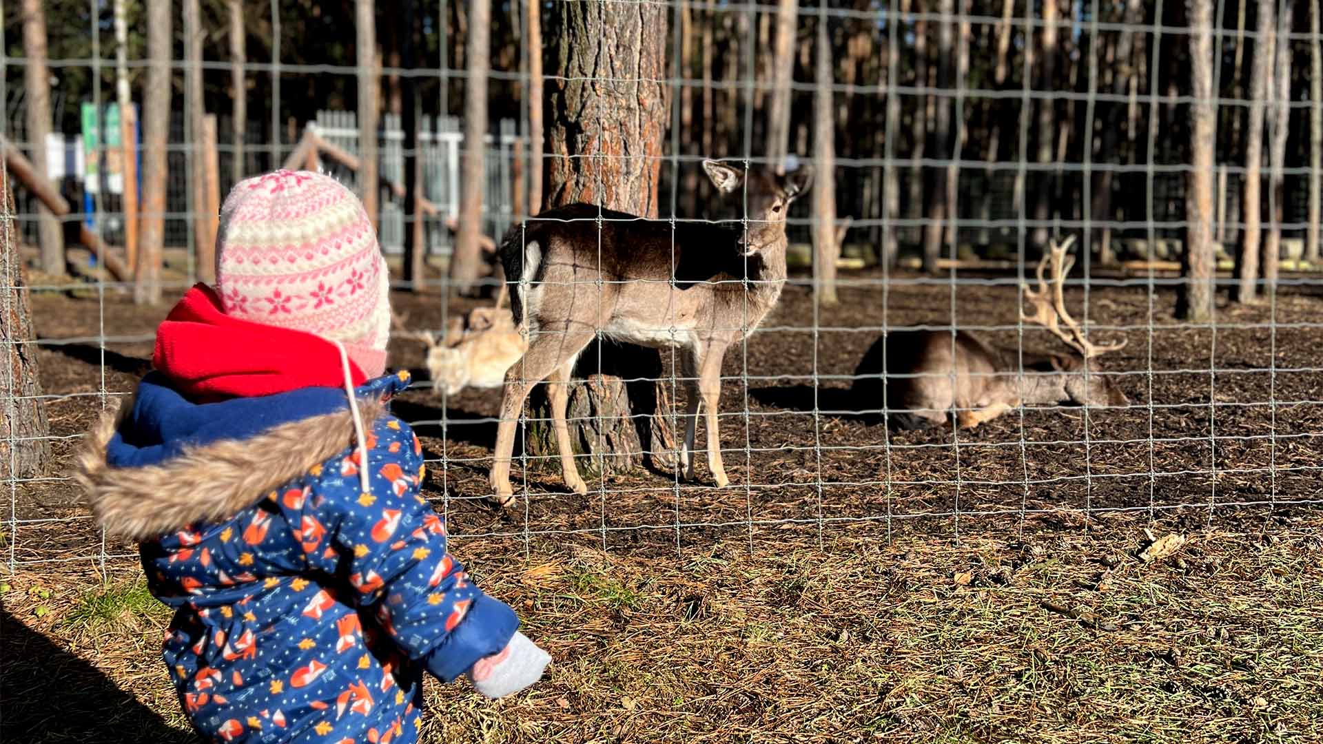 Mini ZOO Kajetany – na spacer z dzieckiem. I bez dziecka też!