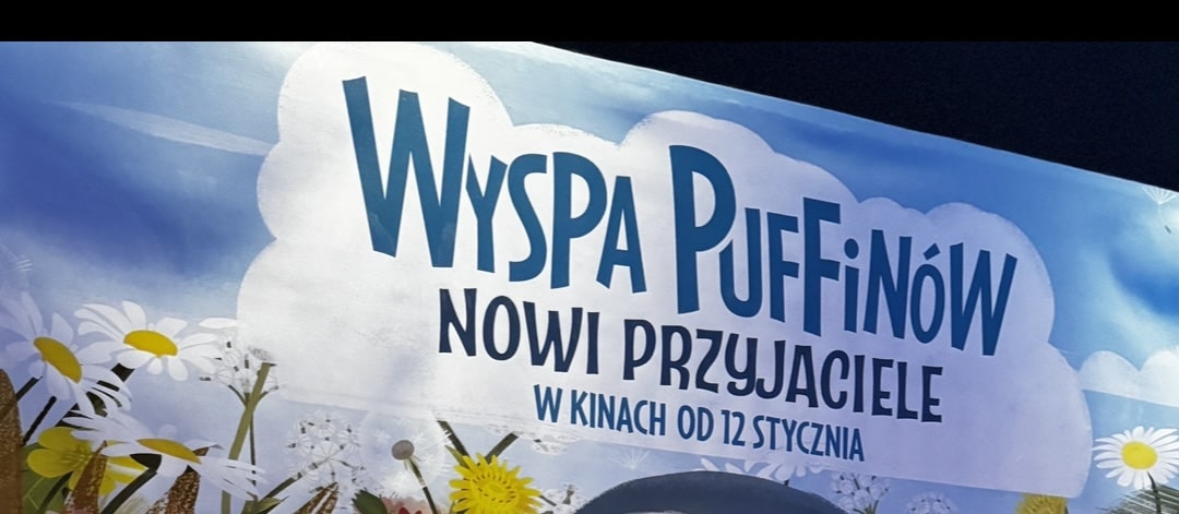 wyspa puffinów