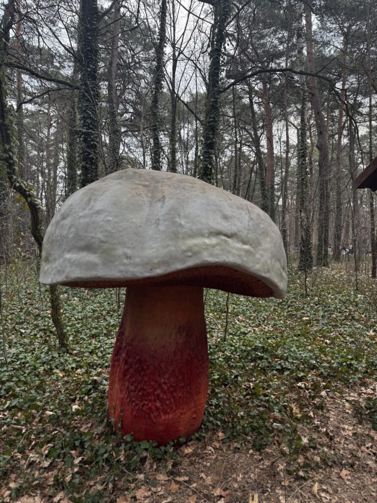 szlak leśnych gigantów