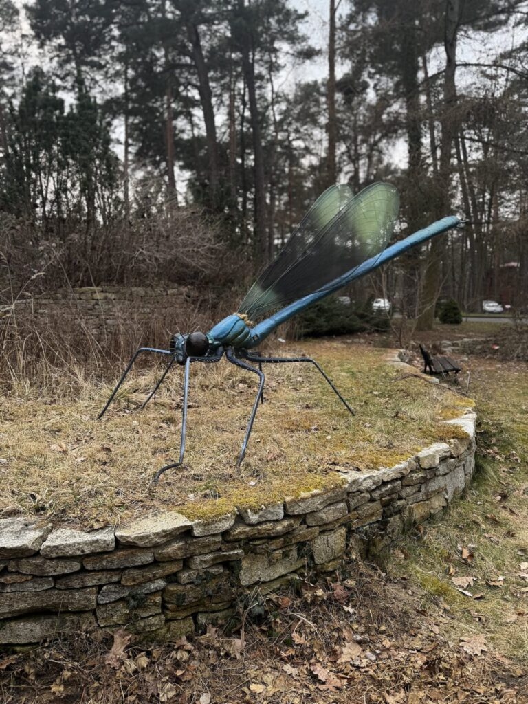 szlak leśnych gigantów