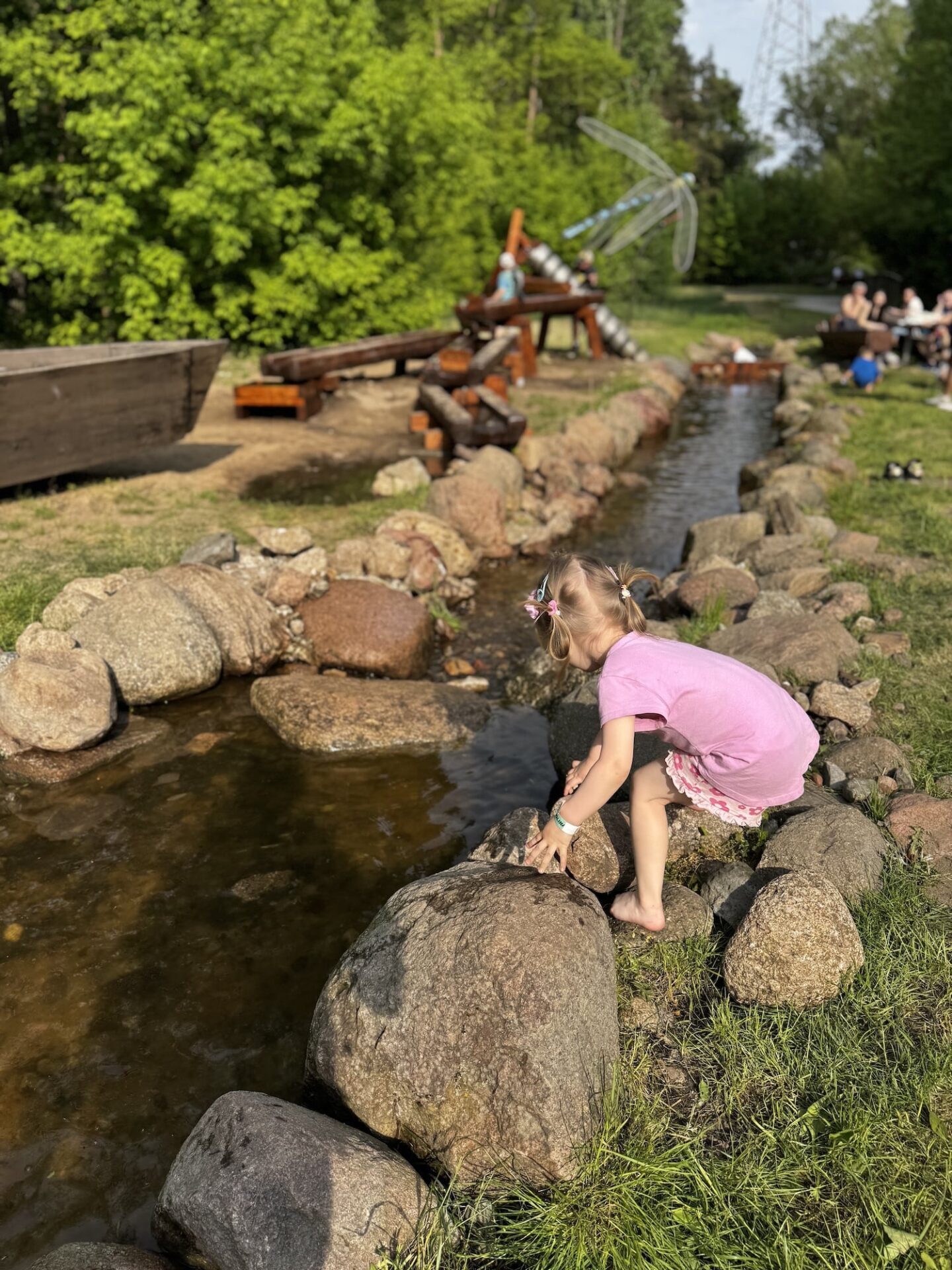 Park Dolina Wkry w Pomiechówku – leśna przygoda tuż pod Warszawą