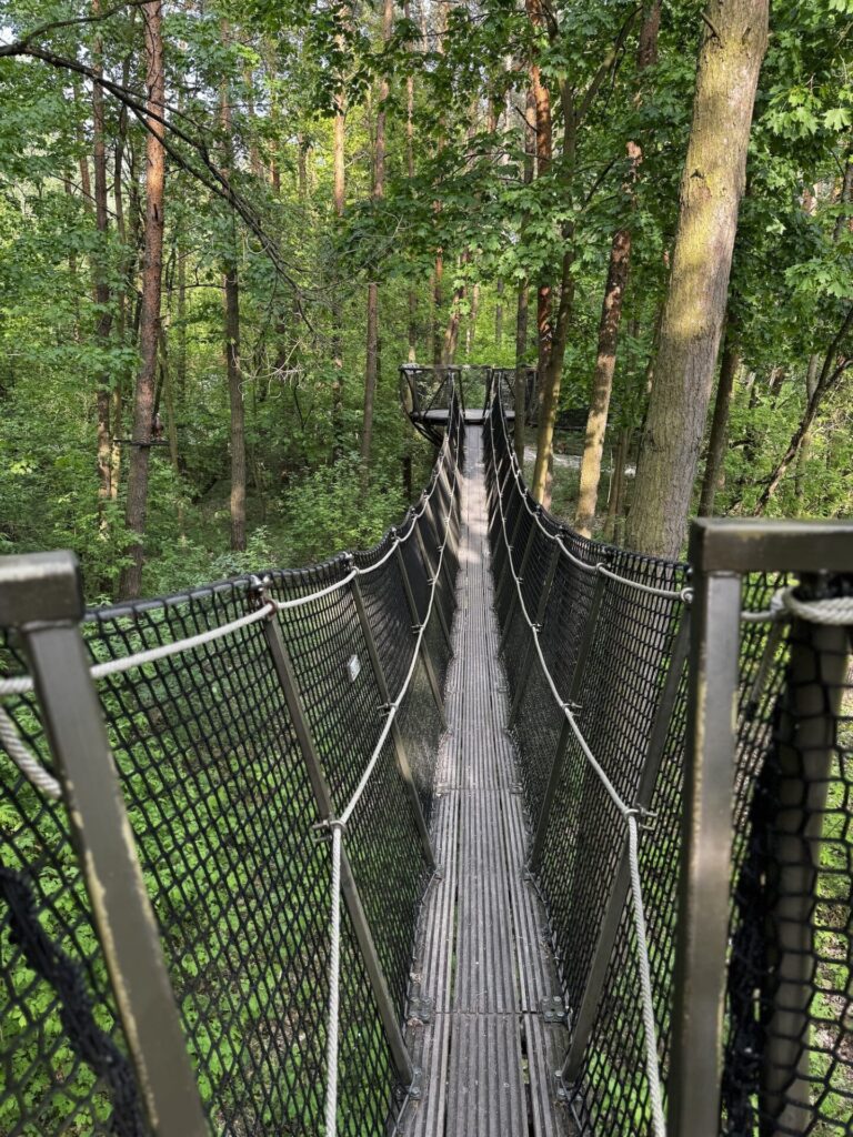 Park Dolina Wkry w Pomiechówku